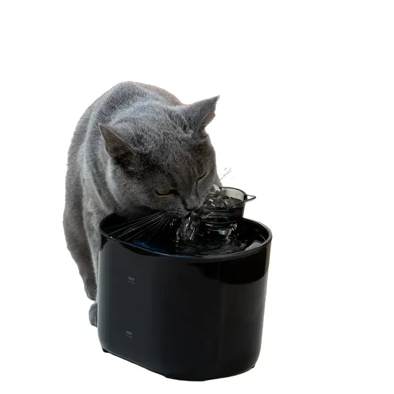 Smart USB-Powered 2.2L Pet Water Fountain for Cats and Dogs - Black-0