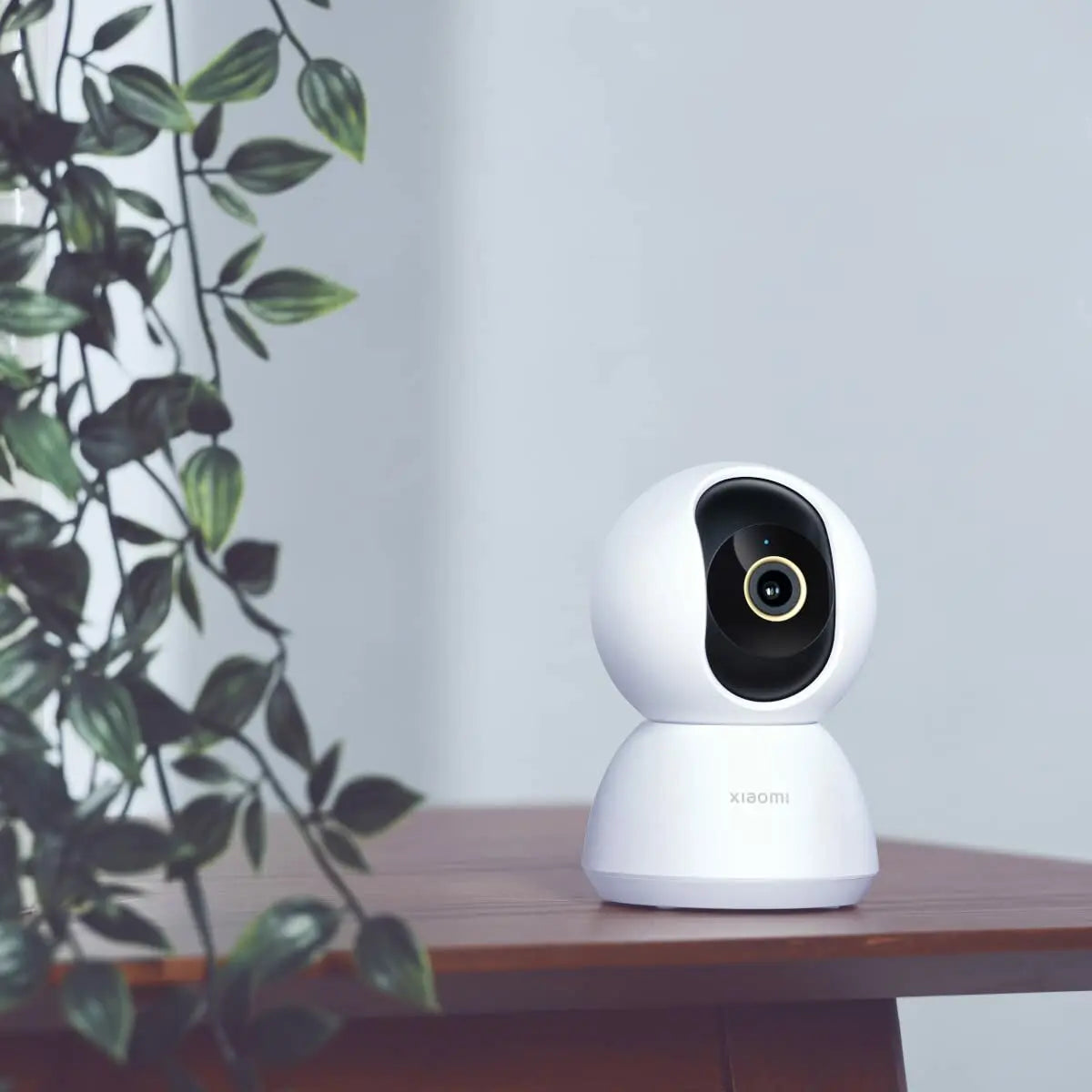 IP camera Xiaomi Smart Camera C300-25