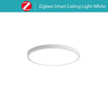 Smart Home Lighting: Tuya Zigbee 3.0 WiFi RGBW LED Ceiling Lamp-1