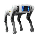 Smart Robot Dog with App Control & Voice Commands-0